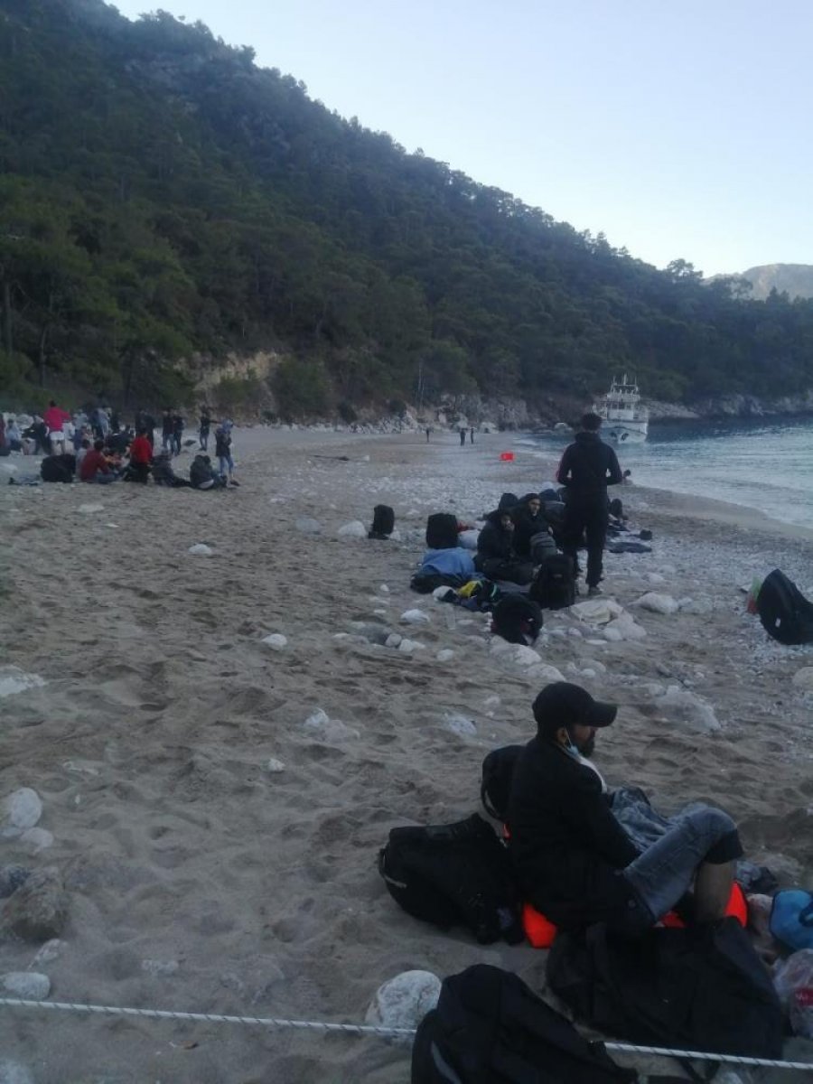Fethiye de 254 düzensiz göçmenin yeri tespit edildi #5