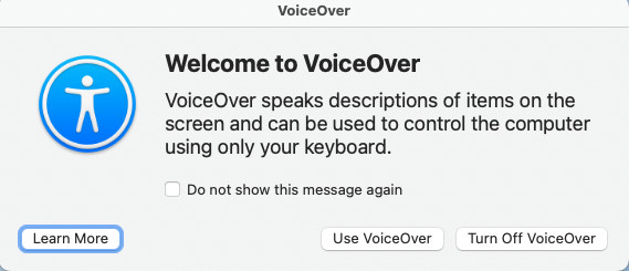 VoiceOver'a Ho Geldiniz penceresinin ekran grnts