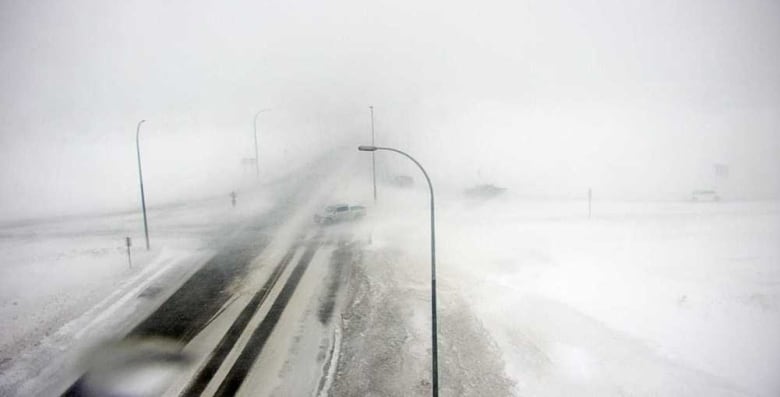 Residents of Hague, Sask., take in stranded drivers as blizzard closes highways