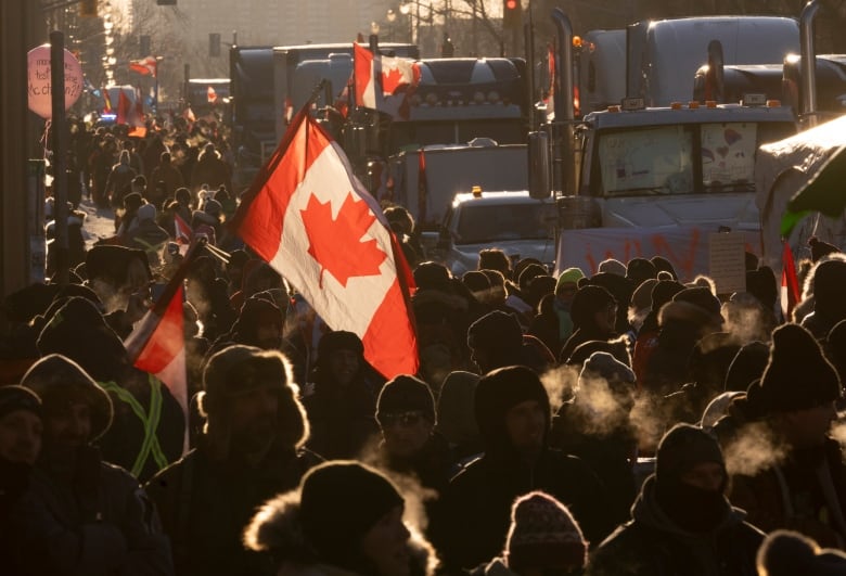 No end in sight to Ottawa protests, not enough resources, says police chief