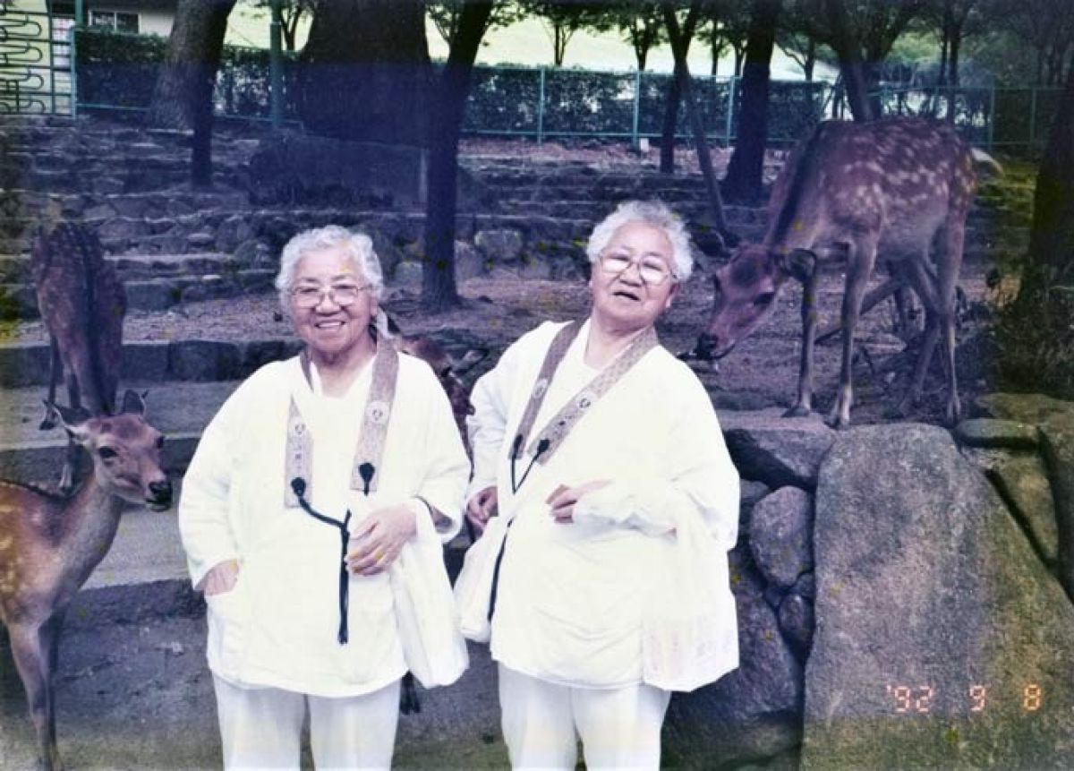 Dünyanın en yaşlı tek yumurta ikizleri Japonya da tescillendi #3