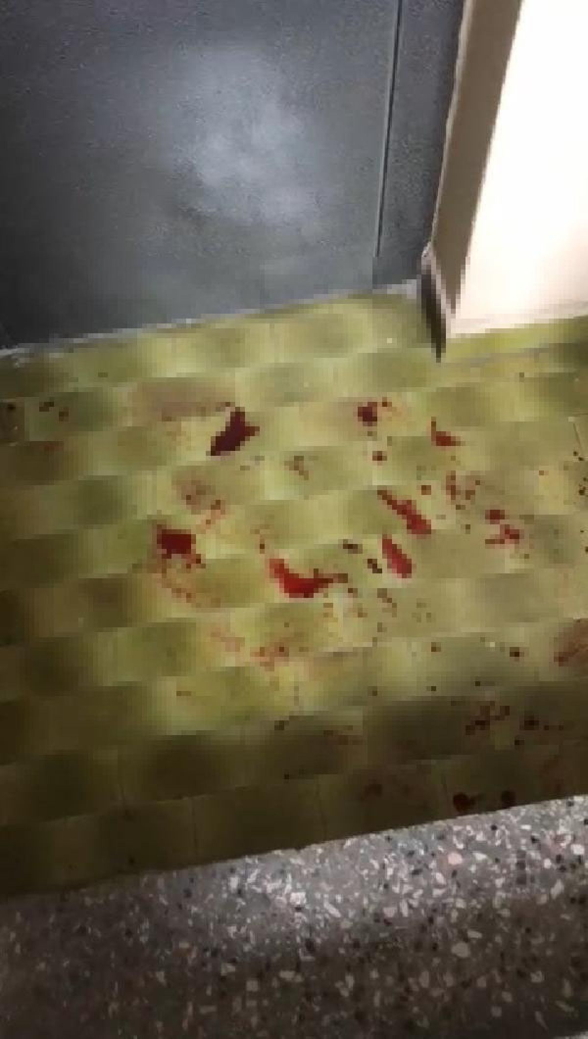 Konya daki damat, eşi ve kayınvalidesini bıçakladı #5