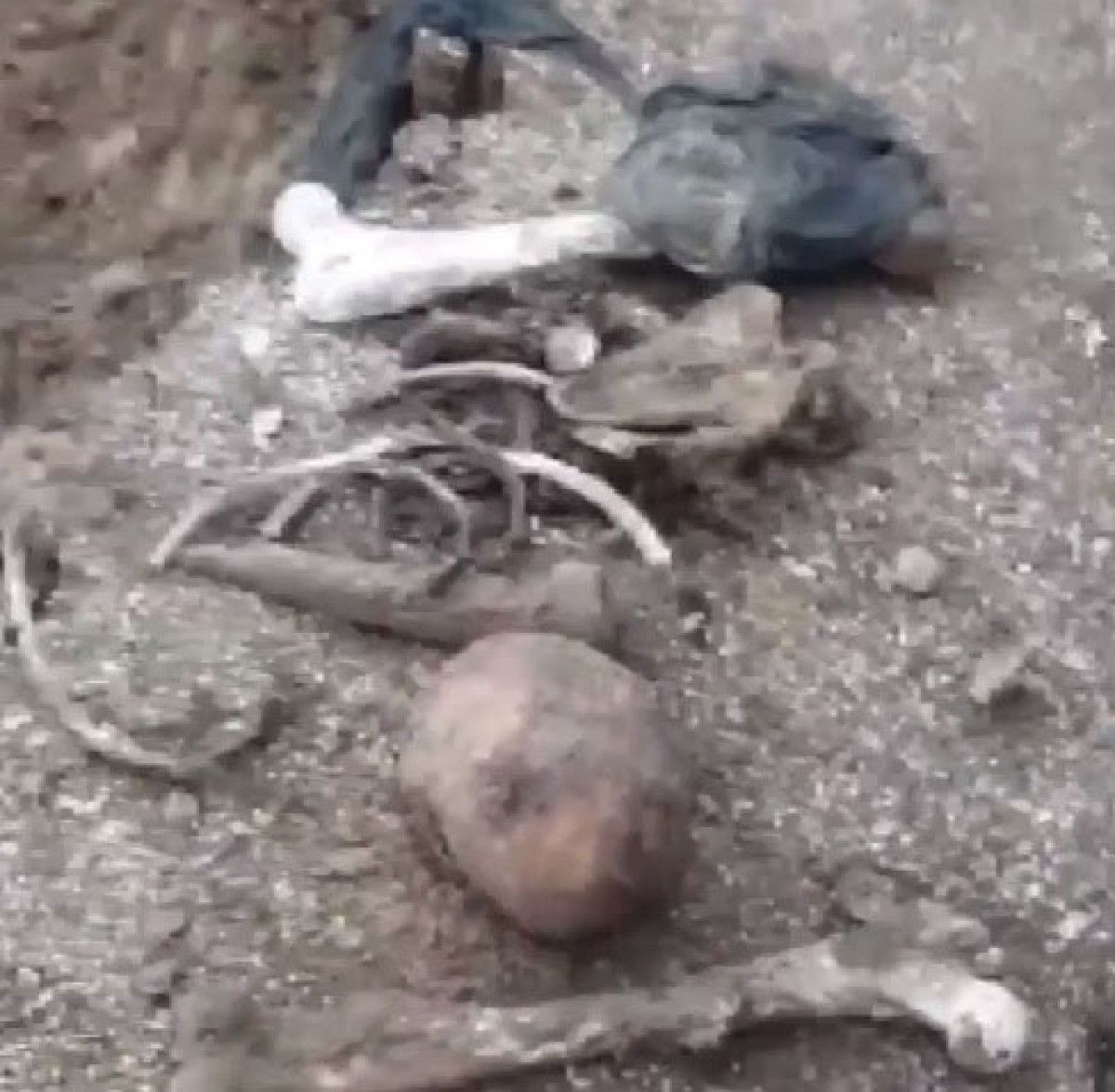 Sivas ta akraba cinayeti: Öldürüp ahıra gömdüler #10