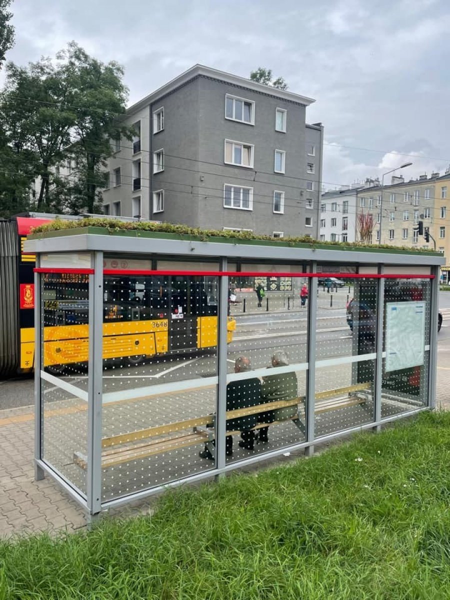 Polonya da otobüs duraklarının çatıları yeşillendi #2