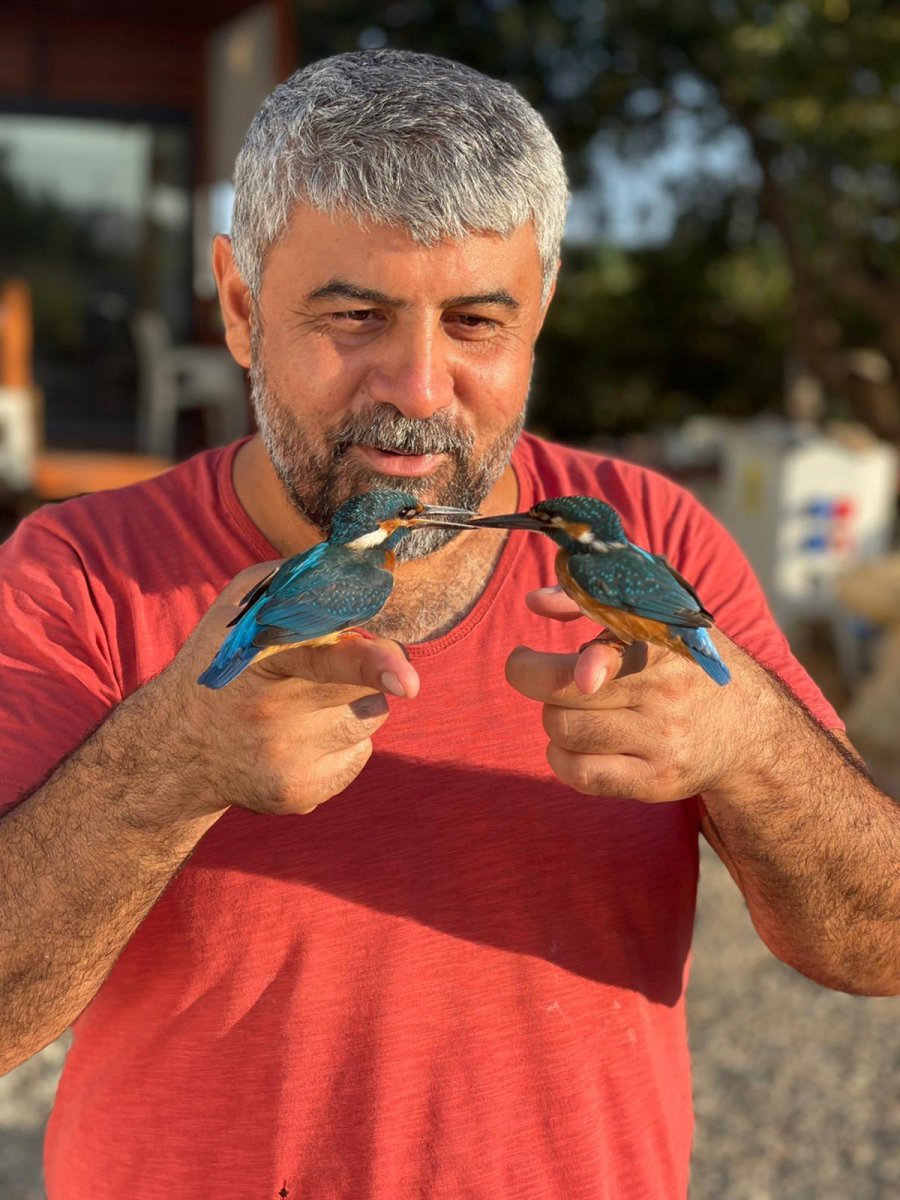 Antalya’da, kalbi duran kuşlar jandarmanın müdahalesi ile hayata döndü #5