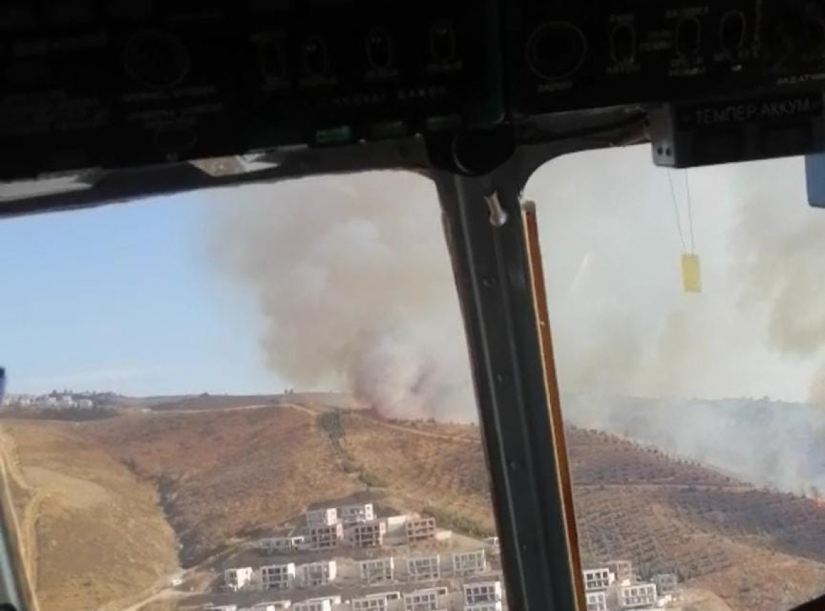 İzmir de makilik alanda yangın çıktı #2