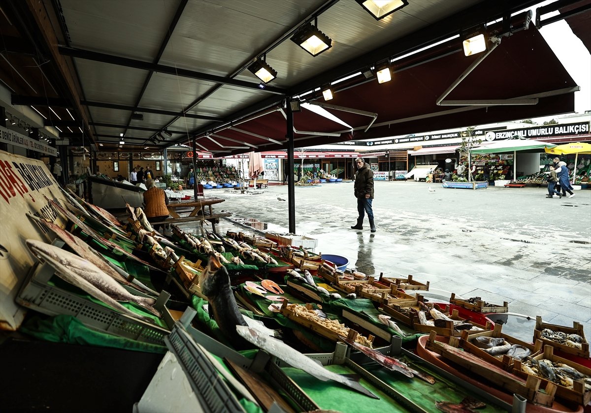 İstanbullu balıkçılar: Fiyatlar oldukça iyi #1