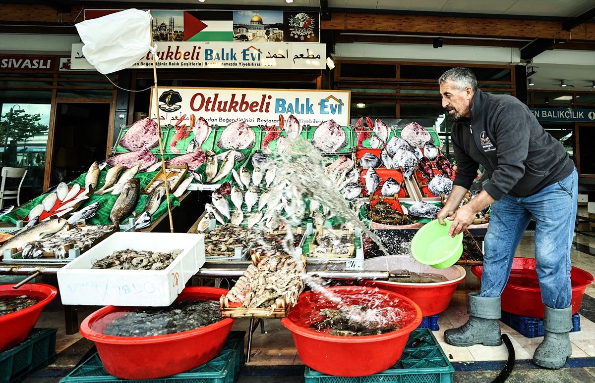 İstanbullu balıkçılar: Fiyatlar oldukça iyi #2