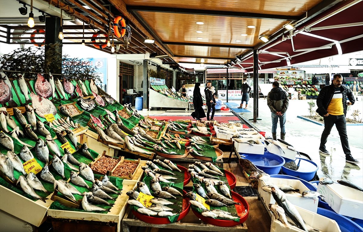 İstanbullu balıkçılar: Fiyatlar oldukça iyi #3