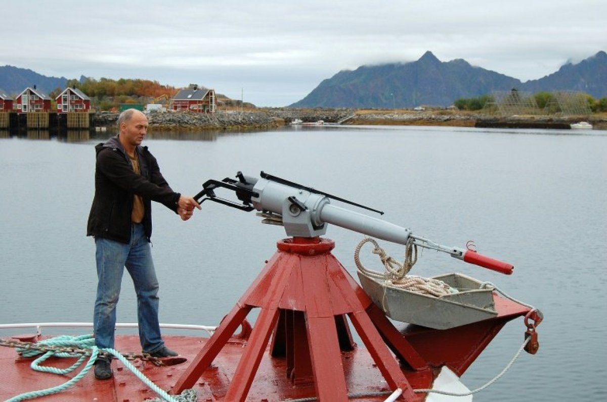 Norveç tepkilere rağmen mink balinası avlamaktan vazgeçmiyor #3