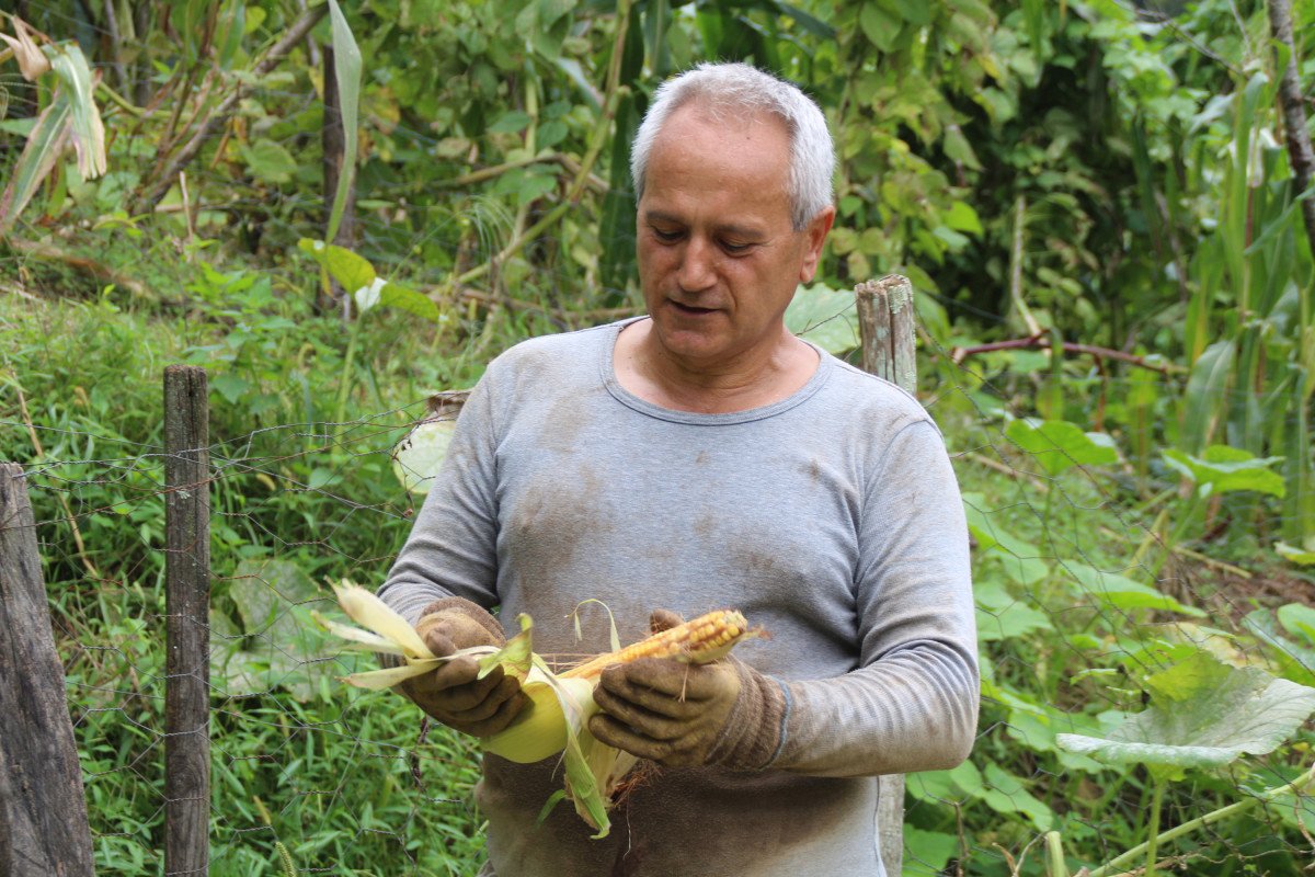 Myanmar’a gidemeyen büyükelçi, Rize’de bahçe işleri ile uğraşıyor #1