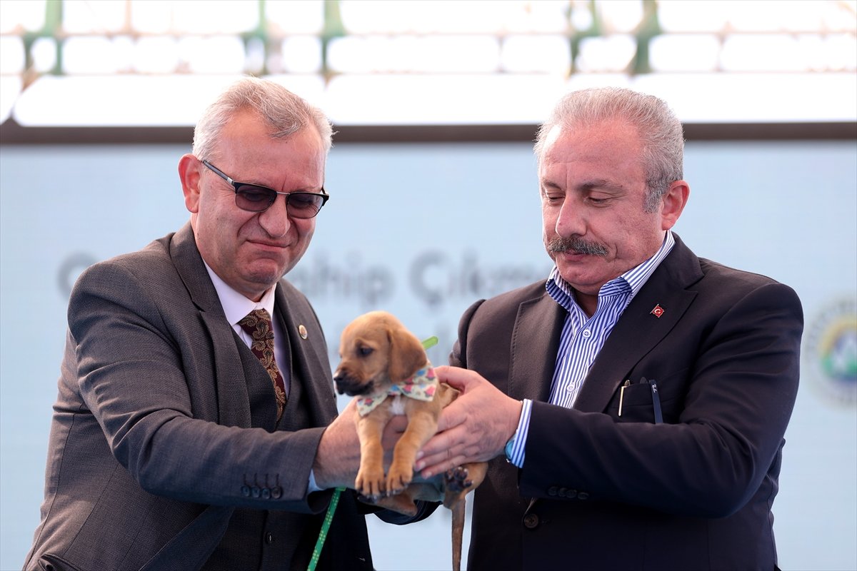 TBMM Başkanı Mustafa Şentop’a, sokak köpeği hediye edildi #3
