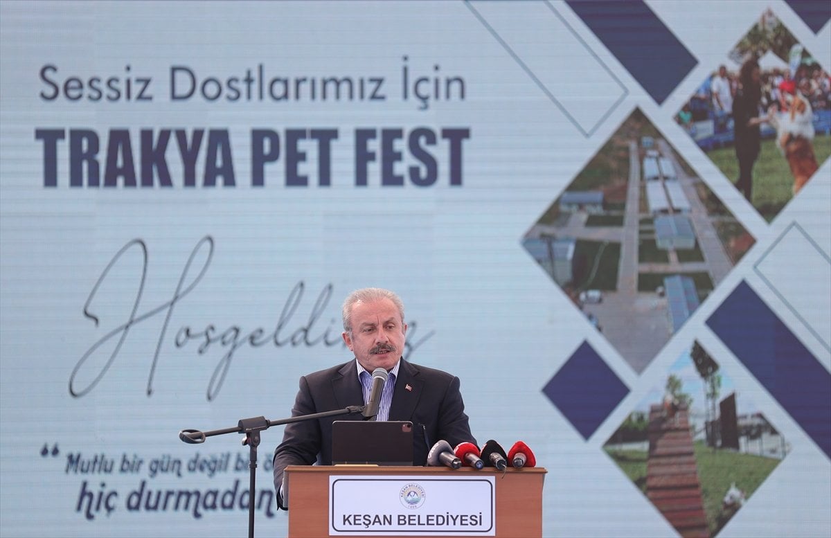 TBMM Başkanı Mustafa Şentop’a, sokak köpeği hediye edildi #1