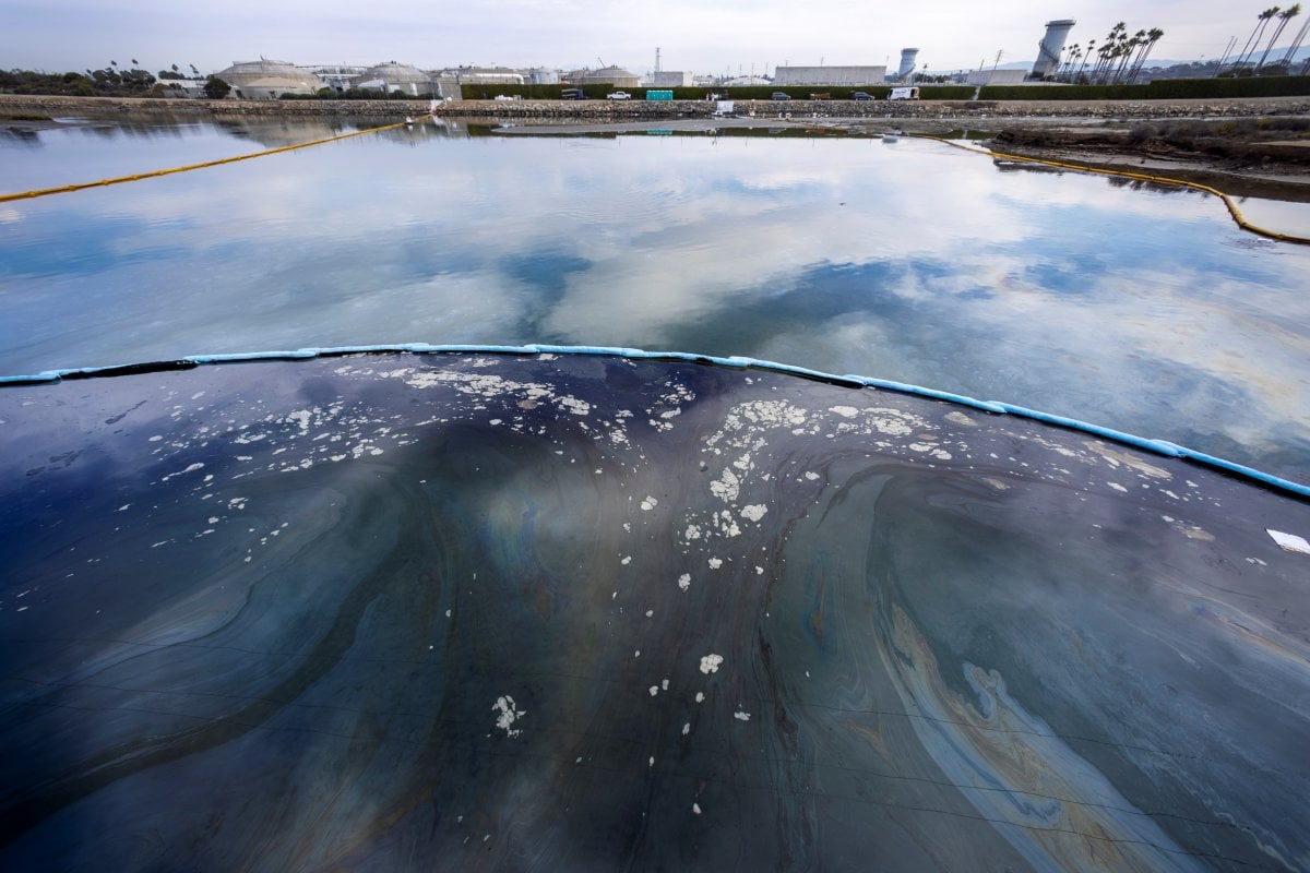 ABD de petrol sızıntısı nedeniyle güney Kaliforniya sahilleri kapatıldı #2