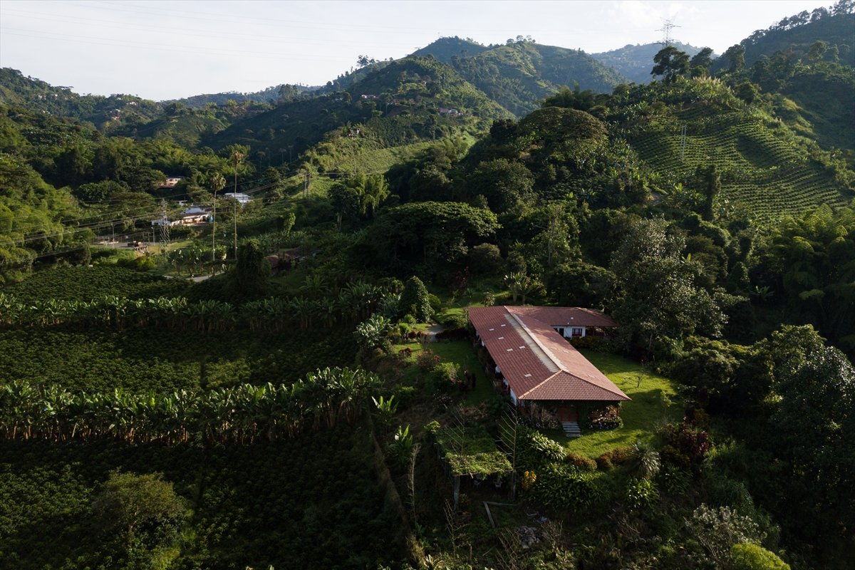 Kolombiya daki kahve diyarı Manizales in eşsiz doğası #3