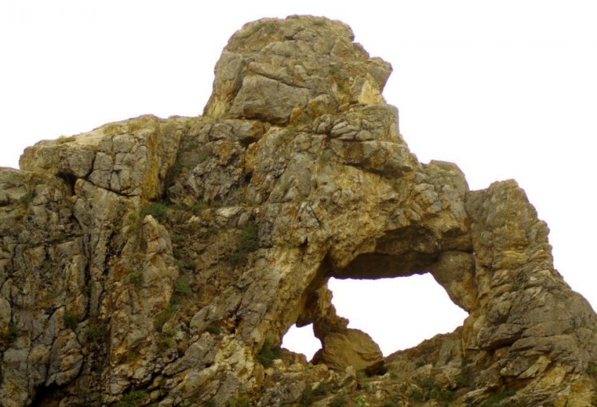 Hakkari Yüksekova da düşünen maymun figürlü kayalık görüntülendi #3
