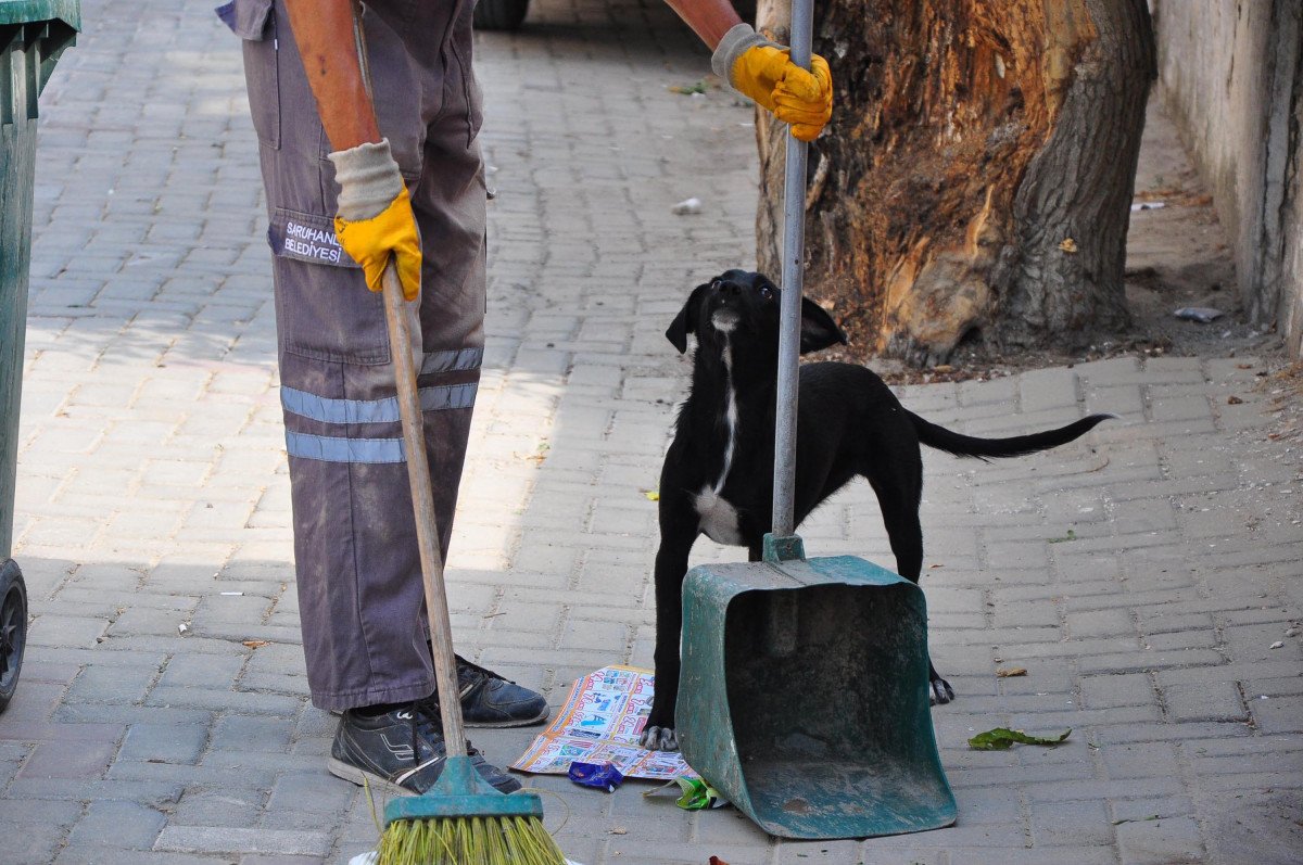 Manisa’da, temizlik işçisi ile sokak köpeğinin samimi dostluğu #5