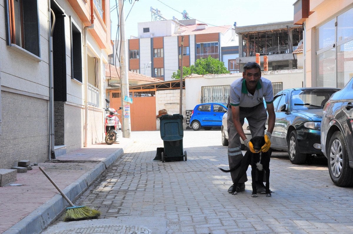 Manisa’da, temizlik işçisi ile sokak köpeğinin samimi dostluğu #4