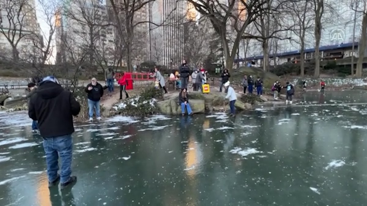 Central Park taki göl, aşırı soğuk nedeniyle dondu #1