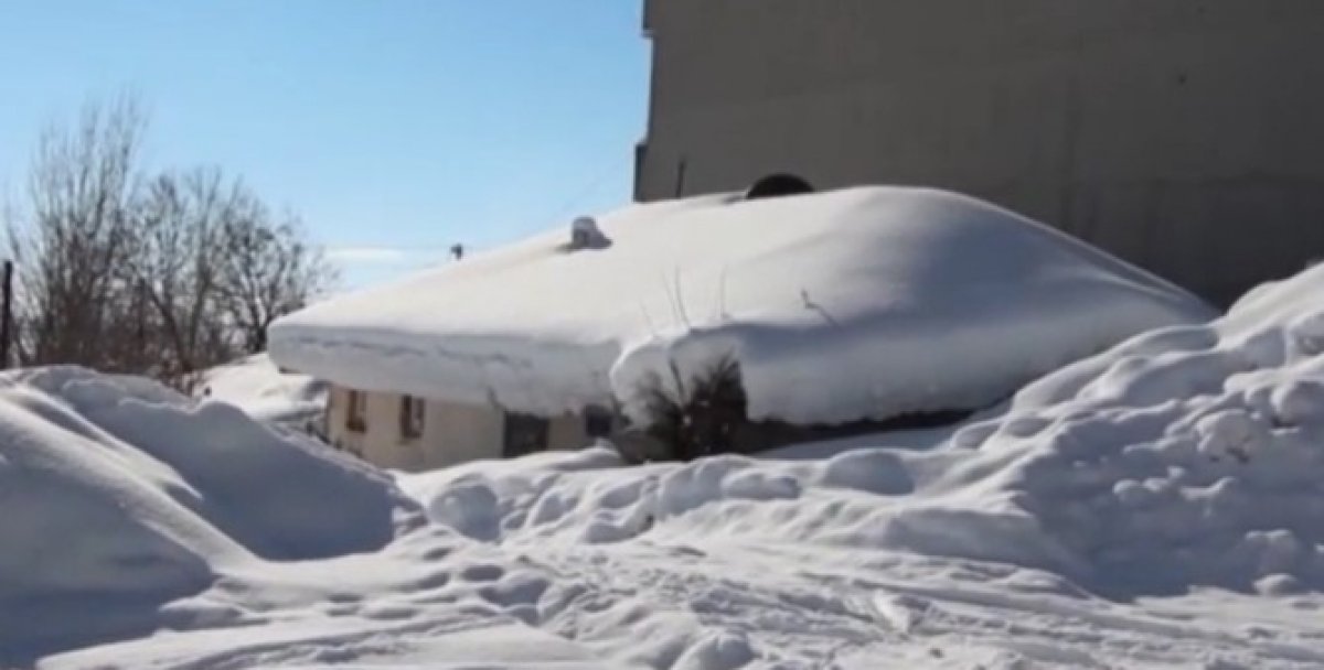 Bingöl de tek katlı evler karda kayboldu #1