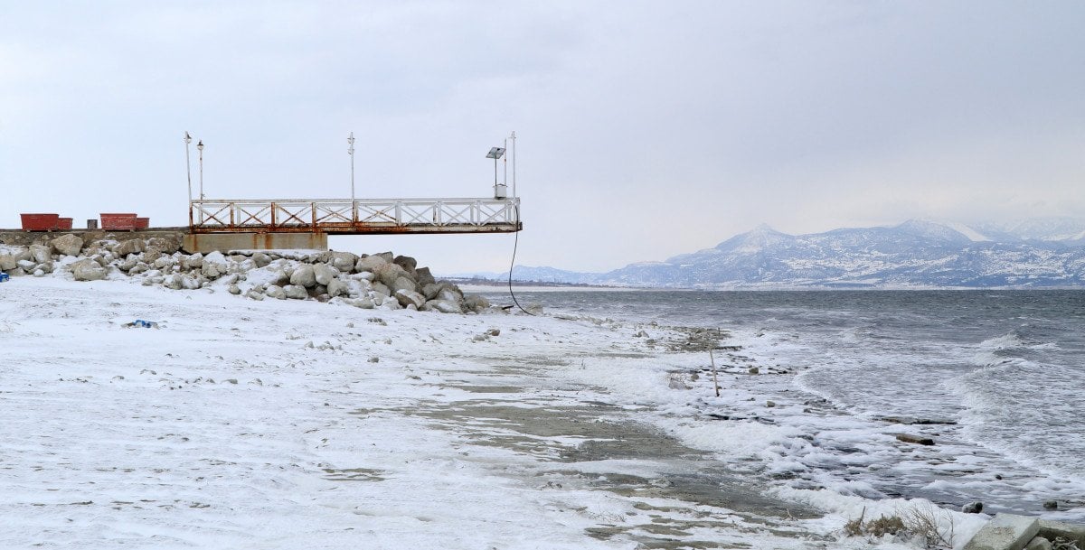 Dikkuyruk ördeği, Burdur Gölü nü artık terk etti #7