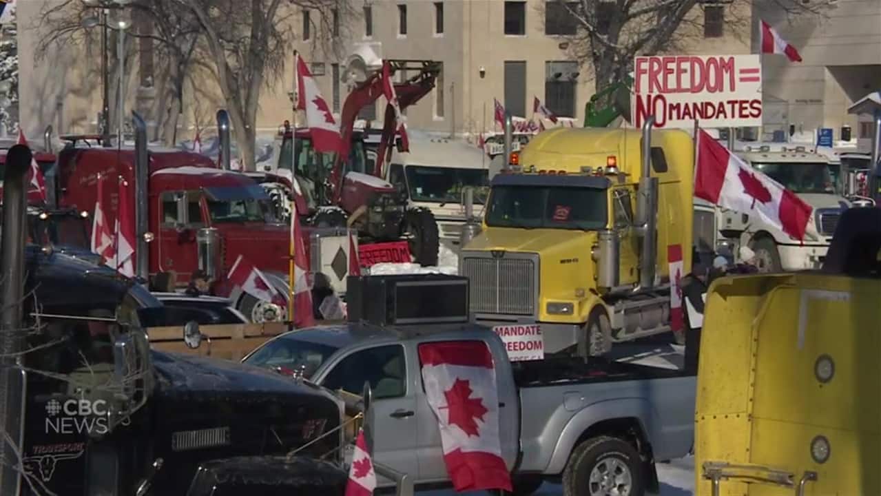 Winnipeg mayor calls for special meetings over handling of convoy protest