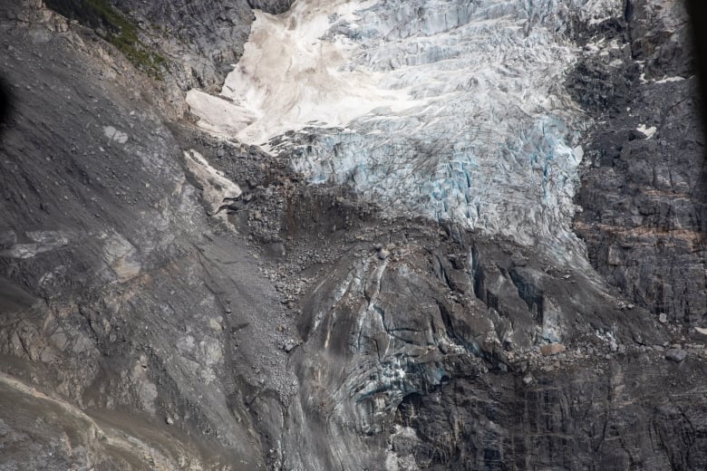Geri çekilen buzullar yeni somon habitatı yaratabilir, B.C. çalışma gösterileri