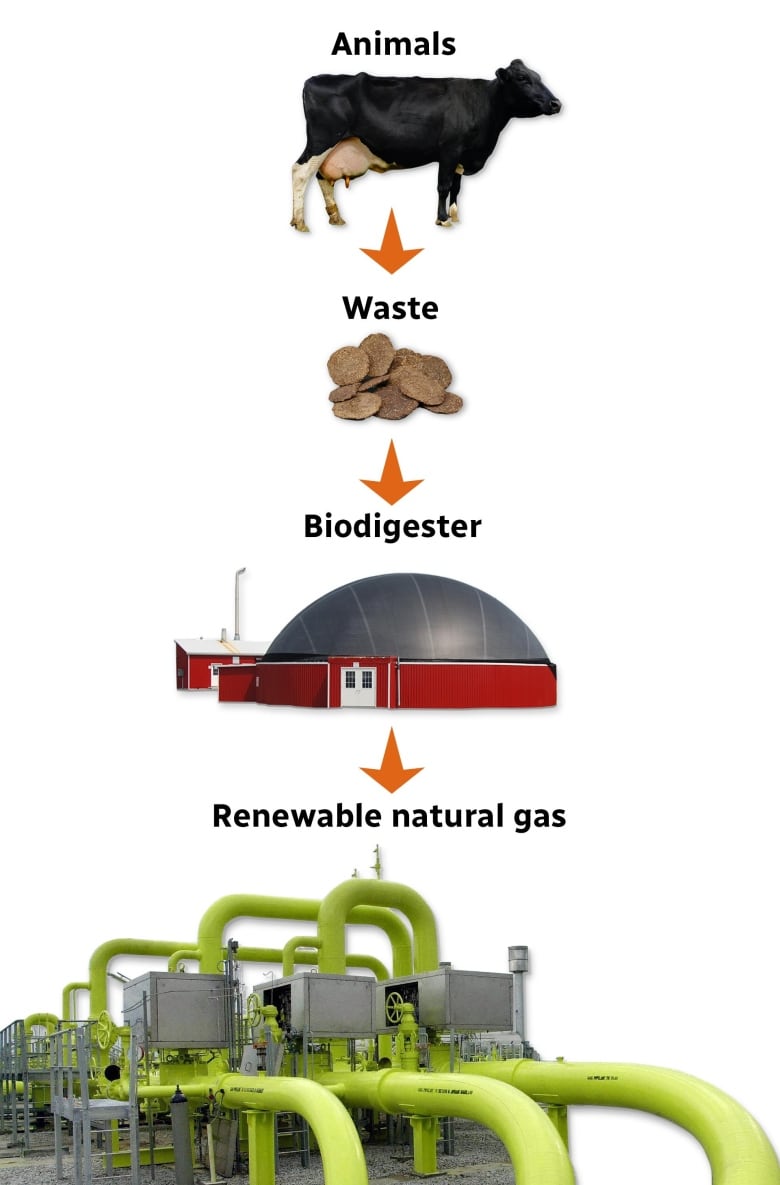 Kanada metan emisyonlarını azaltma sözü verdi - işte oraya ulaşmanın bir takım yolları