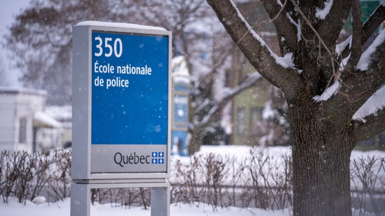 Quebec'te polisliğin çehresini başkalaştırmak için ufak adımlar