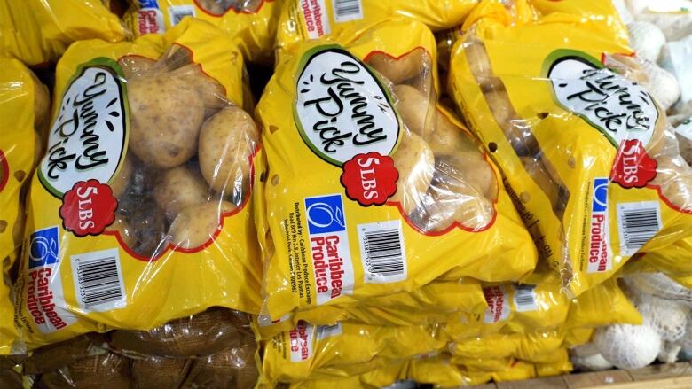 P.E.I., patates ihracatı için Porto Riko lobisi devam edecek