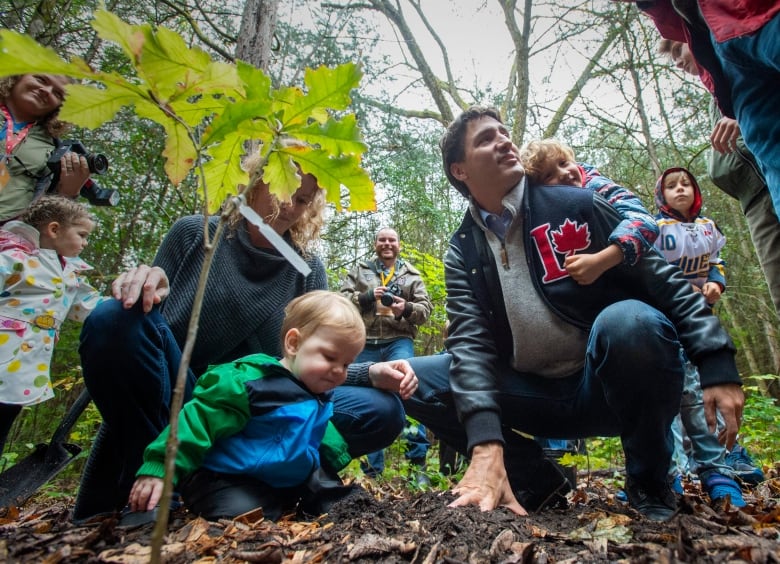 Ottawa, 2030 yılına değin 2 milyar ağaç dikme planını açıkladı