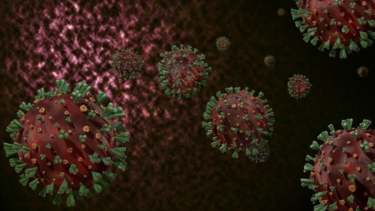 Virüse tuzak kuran ilaç, tüm varyantlarda etkili olacak #1