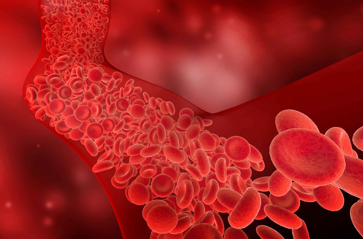 Kolesterole karşı damarları sağlıklı tutmanın 4 yolu