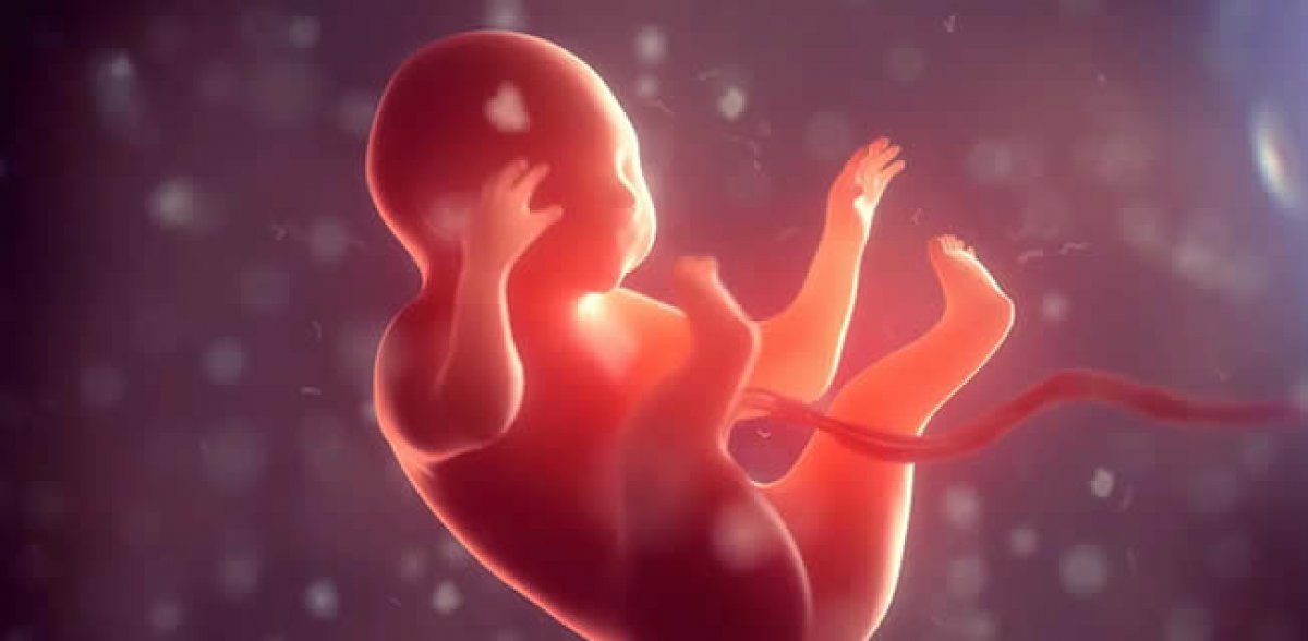 Hamilelik tarih oluyor! Çinli bilim insanları çığır açtı, tıp tarihinde böylesi görülmedi