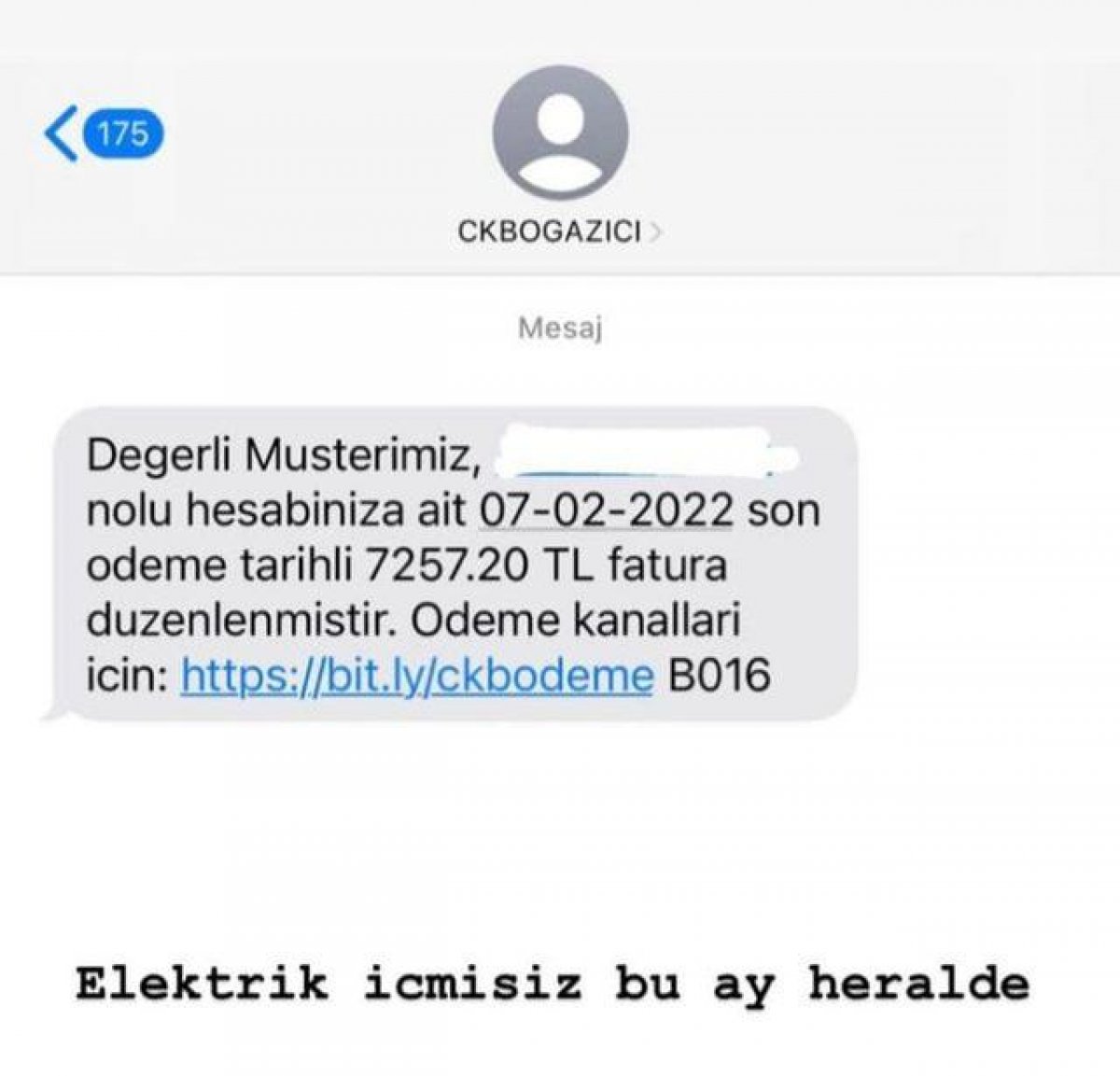 Berfu Yenenler'in elektrik faturası isyanı